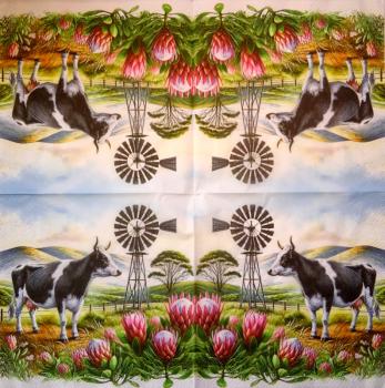 905 Cows - 3-ply - Specials